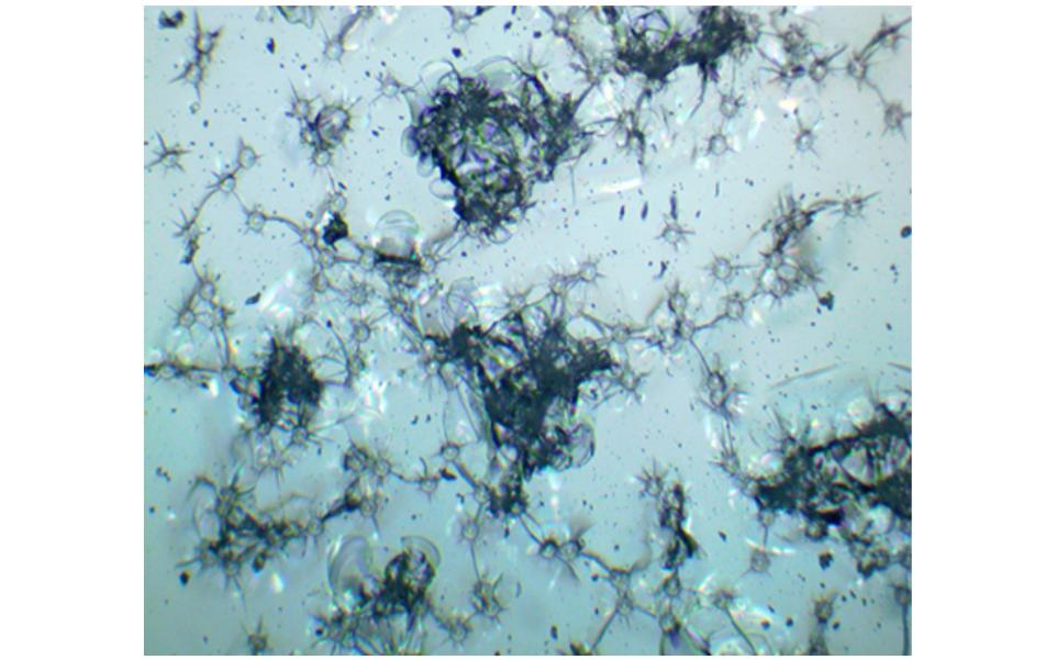 image showing crack system produced during randomised impact test on BK7 glass produced using NanoTest instrument from Micro Materials Ltd