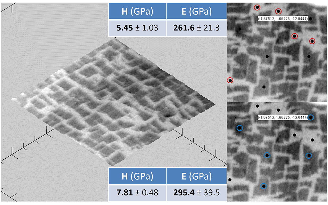 SPM/Nanopositioner allows 3-D imaging of sample surfaces and measurements site selection with nanometre precision - Mechanical testing - Micro Material - Uk Made